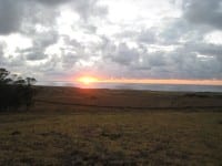 Questions about Easter Island – Why and How? Questions about Easter Island – Why and How?