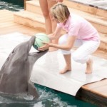 Miami – Top Ten Sights to See