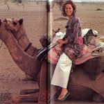 A solo camel safari in the Thar Desert in India.