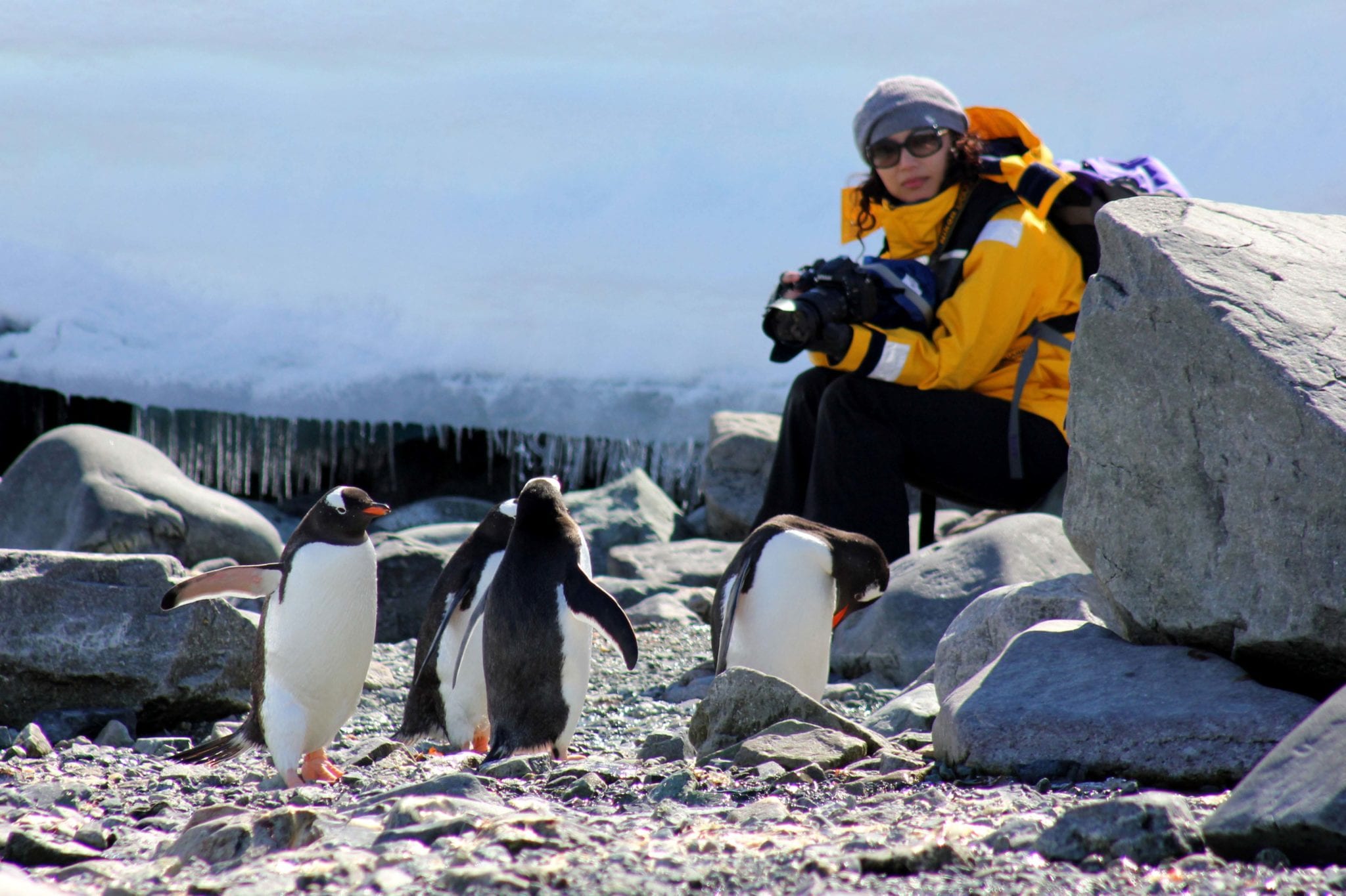 An Antarctic Voyage is my “Dream of a Lifetime” An Antarctic Voyage is my “Dream of a Lifetime”