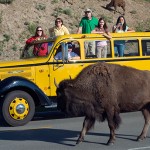 Ten Tips for Planning a National Park Vacation