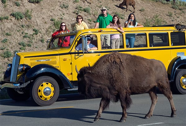 Ten Tips for Planning a National Park Vacation Ten Tips for Planning a National Park Vacation