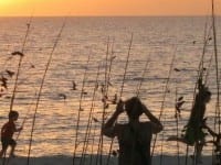 Soaking up the Sun: Best of Sarasota, Florida Soaking up the Sun: Best of Sarasota, Florida