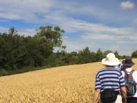 Walking Tours in England: Why and How in the Cotswolds Walking Tours in England: Why and How in the Cotswolds
