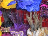 Mardi Gras Magic: Tips From a Local Mardi Gras Magic: Tips From a Local