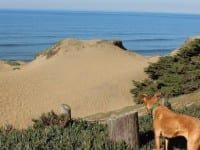 Five Easy Hikes in San Francisco Five Easy Hikes in San Francisco