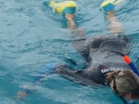 How to Explore the Great Barrier Reef How to Explore the Great Barrier Reef