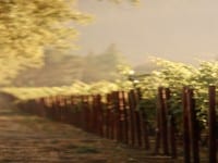 Romantic Wine Country Getaway in Sonoma Valley Romantic Wine Country Getaway in Sonoma Valley