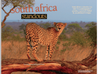 South Africa Standouts South Africa Standouts