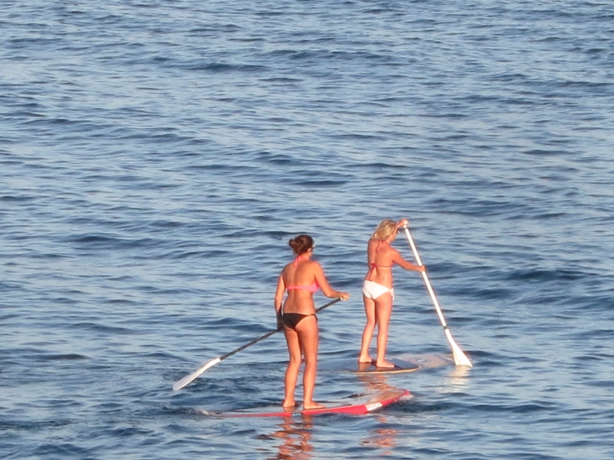 Paddle boarding in Santa Barbara, CA