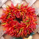 Food in Santa Fe is cooked with lots of green or red chilies.