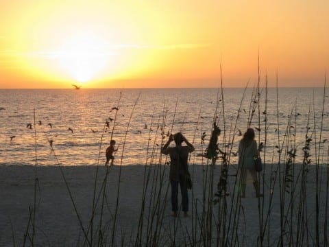 Sarasota Beach Sunset