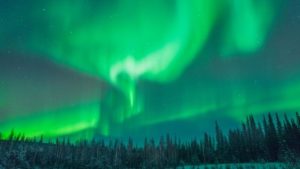 Green lights of Alaska Northern Lights. Aurora Borealis