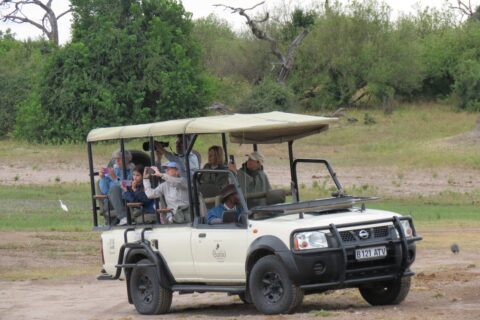 Game viewing in Chobe National Park, Botswana. 