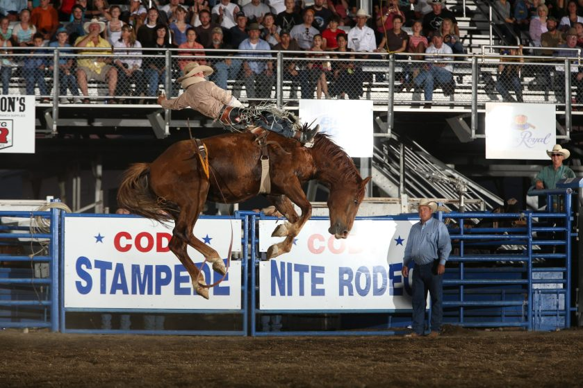 rodeo with horse and rider