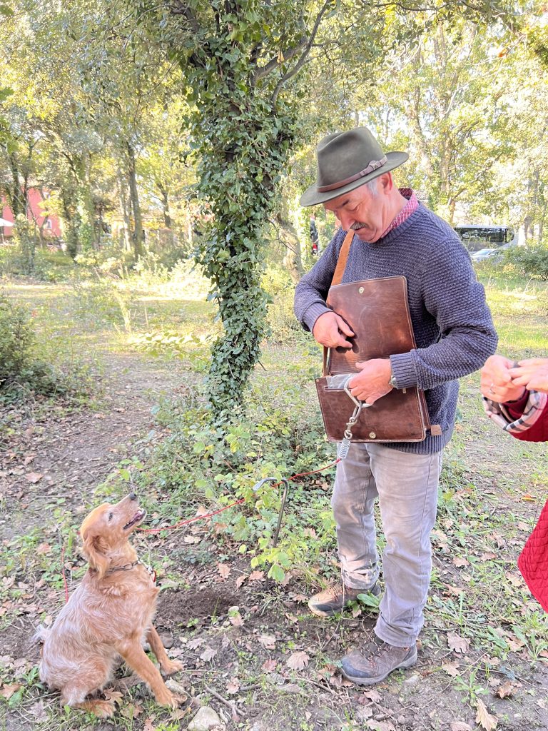 Gutsy Traveler: In a sun-dappled forest, a man in a sweater and hat holds a leather satchel, savoring the culinary experience of truffle hunting. He gazes at his dog on the ground, while another person in red peeks through the Provence trees.