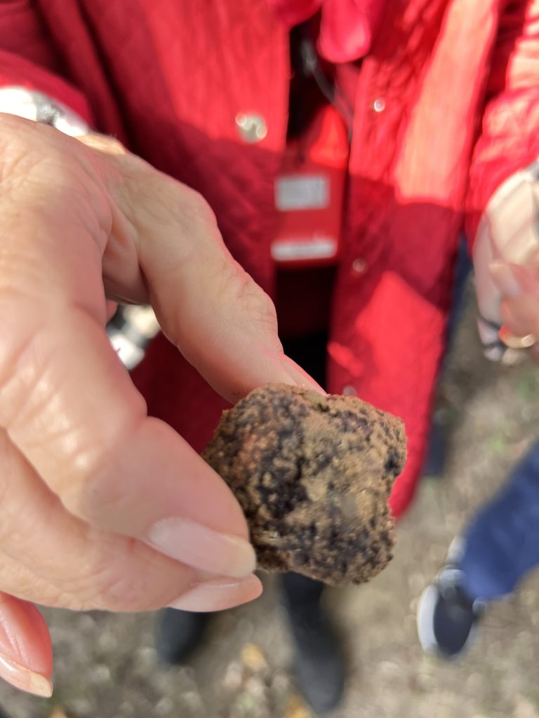 Gutsy Traveler: A hand cradles a small, dark, irregularly shaped object outdoors—a treasure from truffle hunting. In the background, a person in a red coat adds warmth to this culinary experience in picturesque Provence, France.