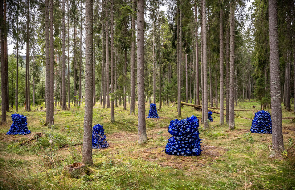 Gutsy Traveler: Several piles of blue plastic bags are scattered among tall trees in a forest clearing, creating an unexpected scene reminiscent of a vacation treasure hunt.
