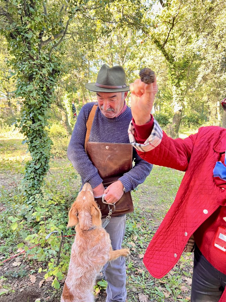 Gutsy Traveler: A person holds a black truffle while another stands beside a dog in a wooded area, capturing the essence of truffle hunting in Provence, France amid lush green foliage.