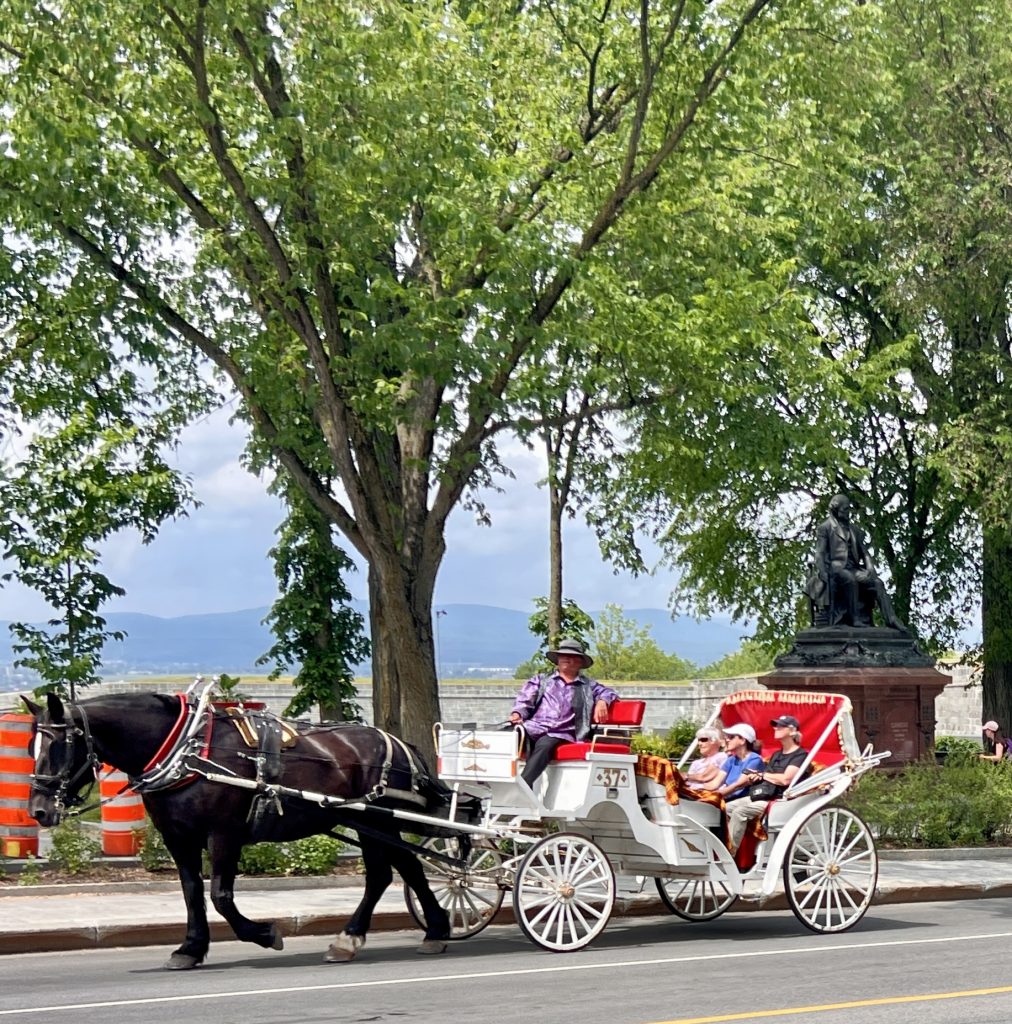 Gutsy Traveler: A black horse pulls a white carriage with a driver and three passengers along a tree-lined street in Quebec City, with a statue and mountains visible in the background—a charming way to experience things to do in Quebec.