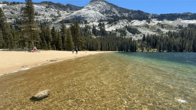 Gutsy Traveler: Clear water of a lake laps onto a sandy beach in Yosemite, where a few people walk along the shore surrounded by pine trees and rocky mountains, enjoying high country access under a blue sky.